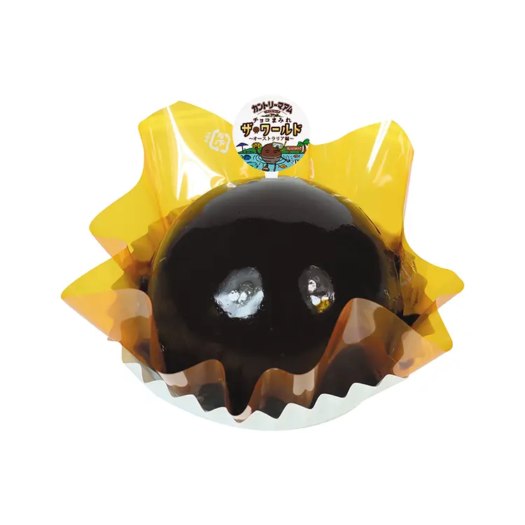 チョコまみれザ・ワールドケーキ(アルフォンソマンゴー)